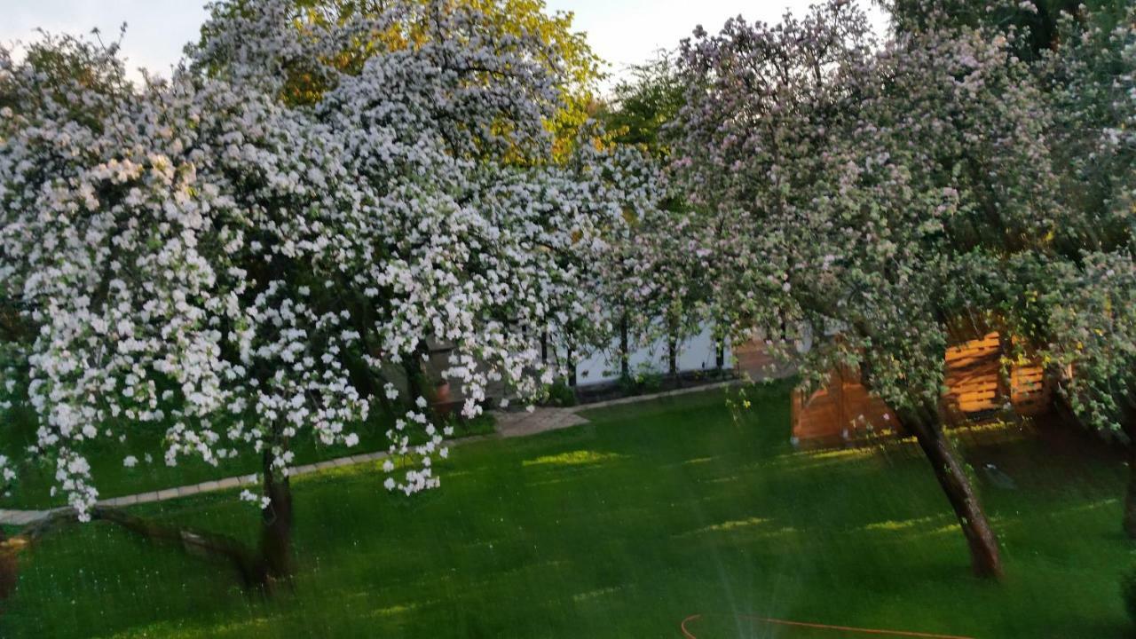 Ferienhaus Gregor Birkenwerder Kültér fotó